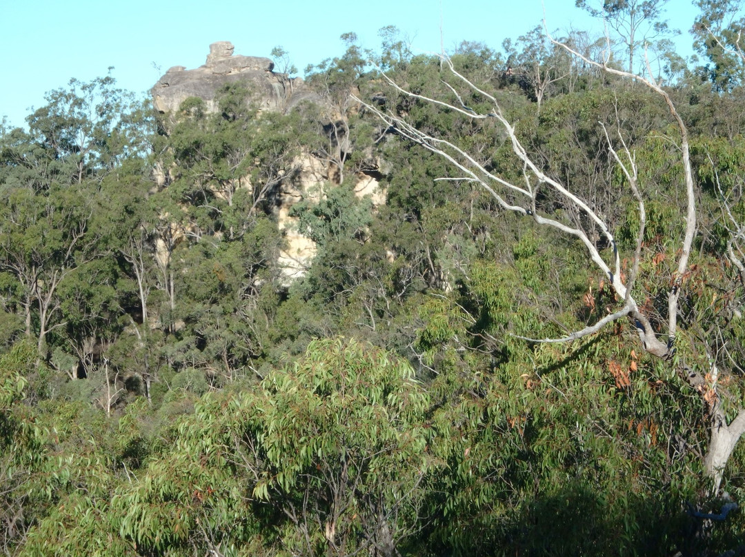 White Rock-Spring Mtn Conservation Estate景点图片