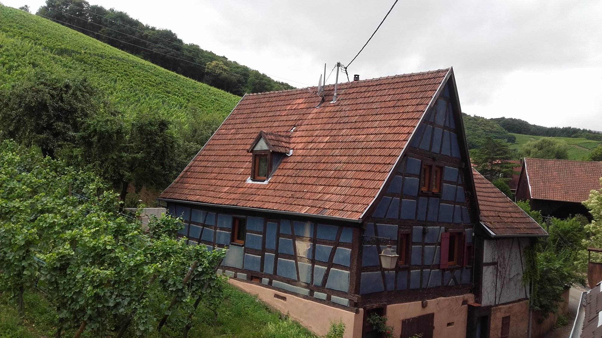 Maison d'Hôtes Le Schloessel-酒店景观