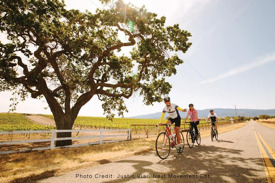 Santa Barbara Wine Country Cycling Tours-索尔万必去景点