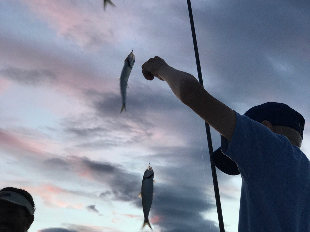 Wild Fishing Experience景点图片