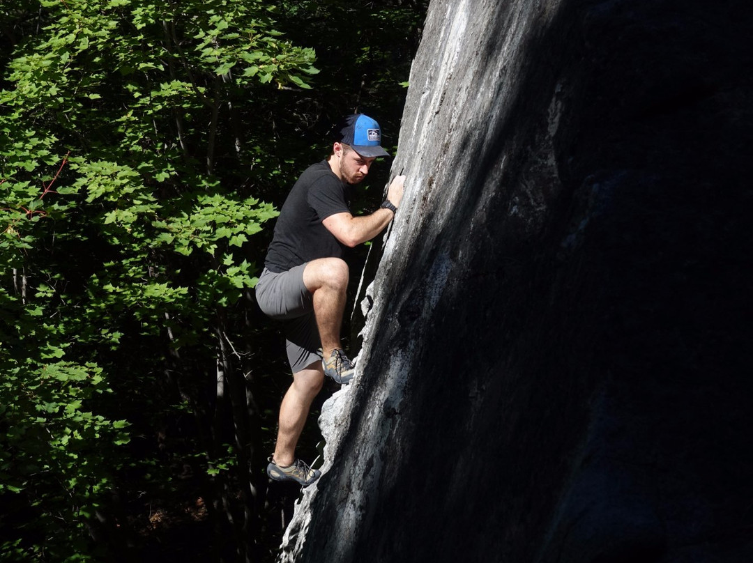 Bouldering Bus-西雅图必去景点