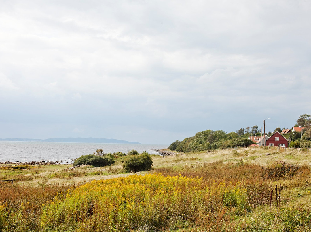 Magnarps Strandmark Naturreservat-Vejbystrand必去景点