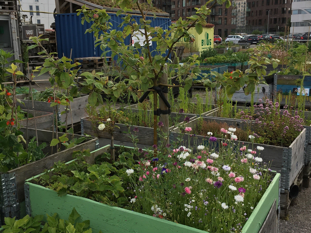 Ø-Haven-欧胡斯必去景点