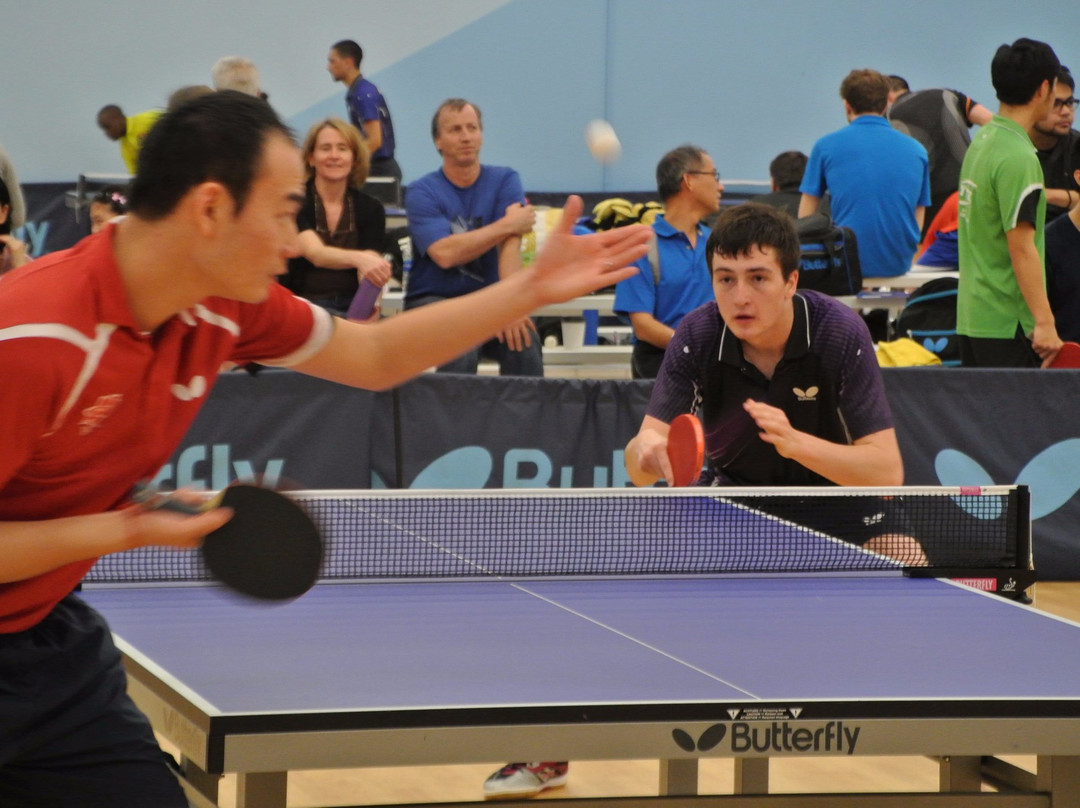 Triangle Table Tennis景点图片