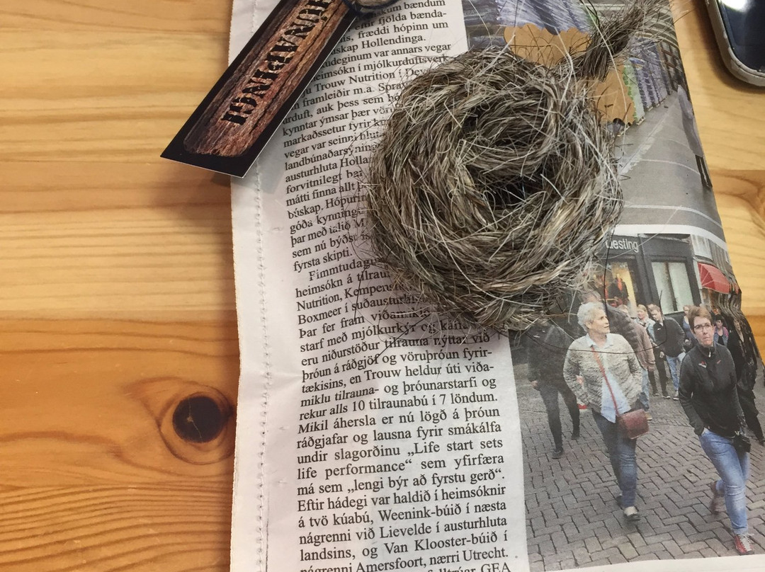 Verslunin Hitt Og Þetta-Blonduos必去景点