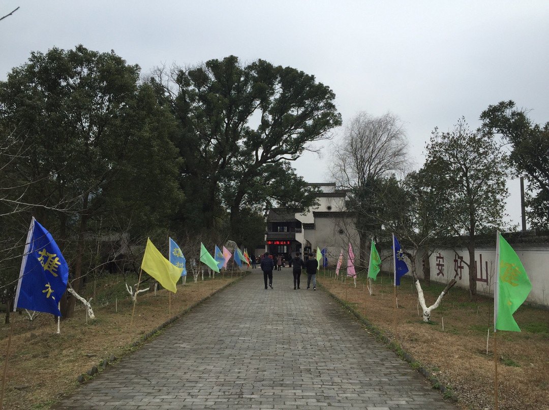 雄村景区-黄山市必去景点