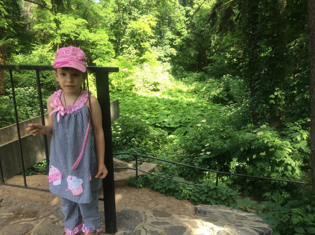 Krasnokutsk Arboretum-Krasnokutsk必去景点