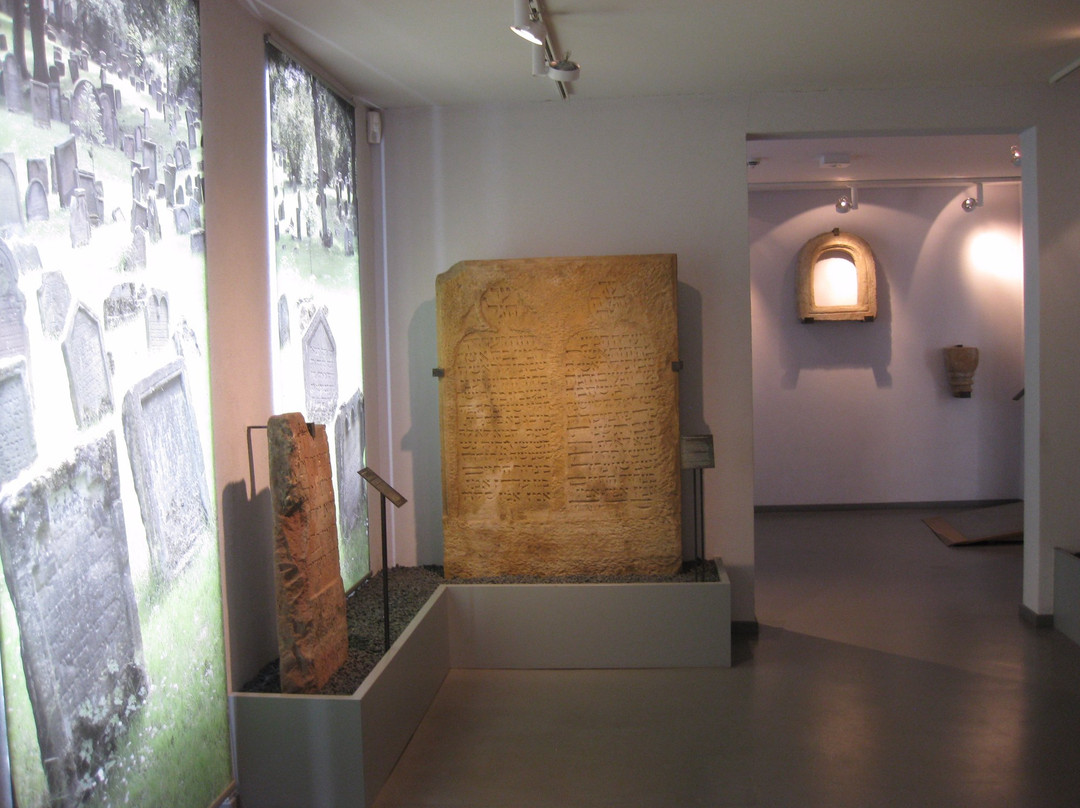 Museum SchPIRA景点图片