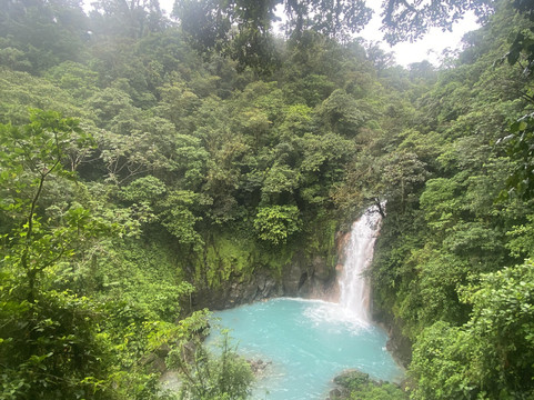 Tours with Frank the Tank Costa Rica