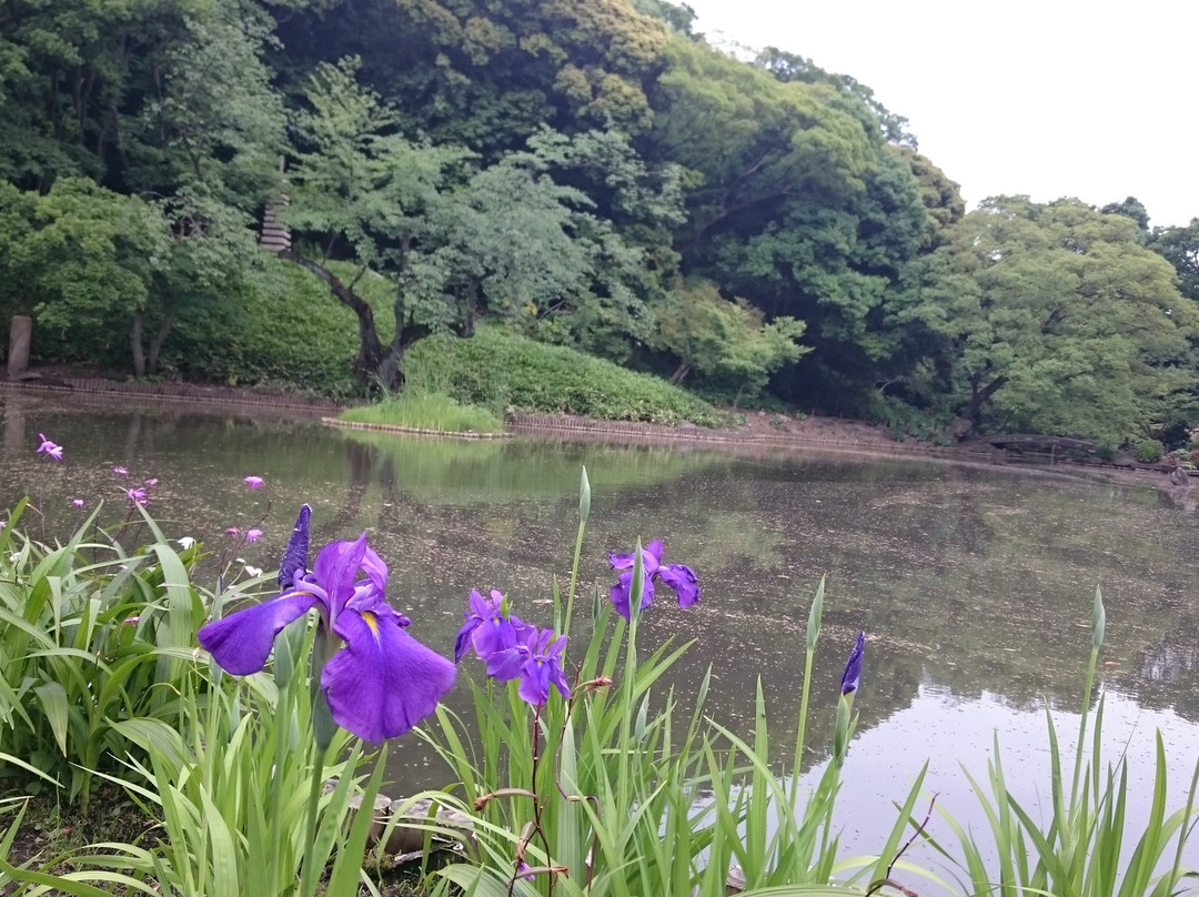Higo-Hosokawa Garden景点图片