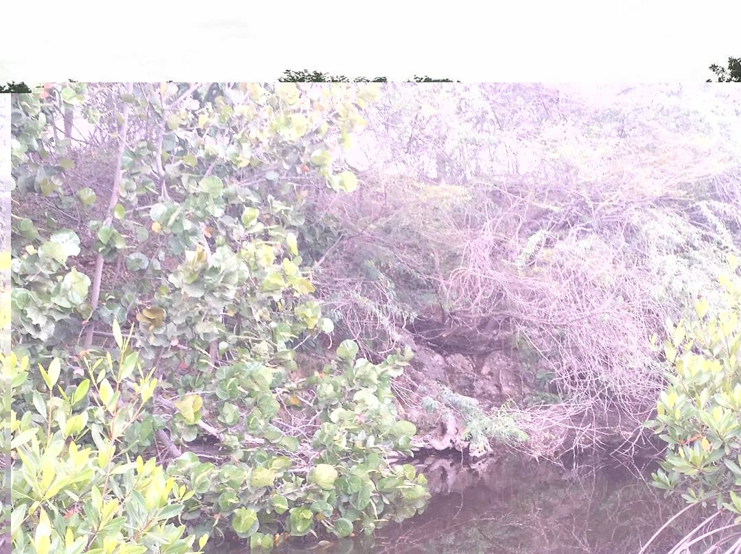 Nigua Ecological Park-San Cristobal必去景点