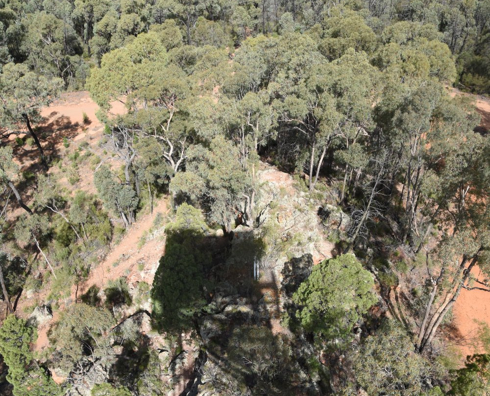 Pilliga National Park-Coonabarabran必去景点