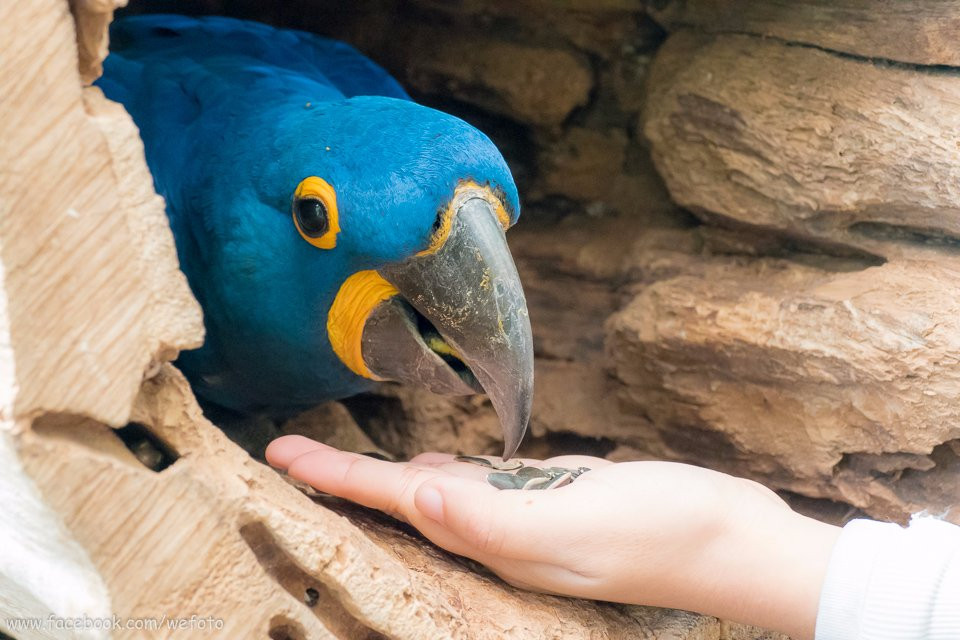Suan Palm Farm Nok-埪坚必去景点