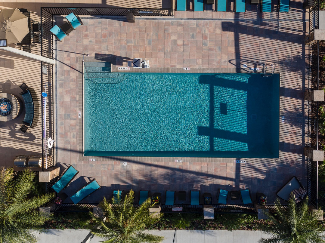 杰克逊维尔酒店住宿-Residence Inn by Marriott Jacksonville South/Bartram Park