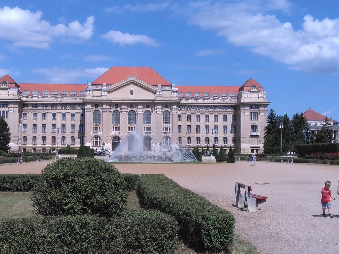 University of Debrecen景点图片