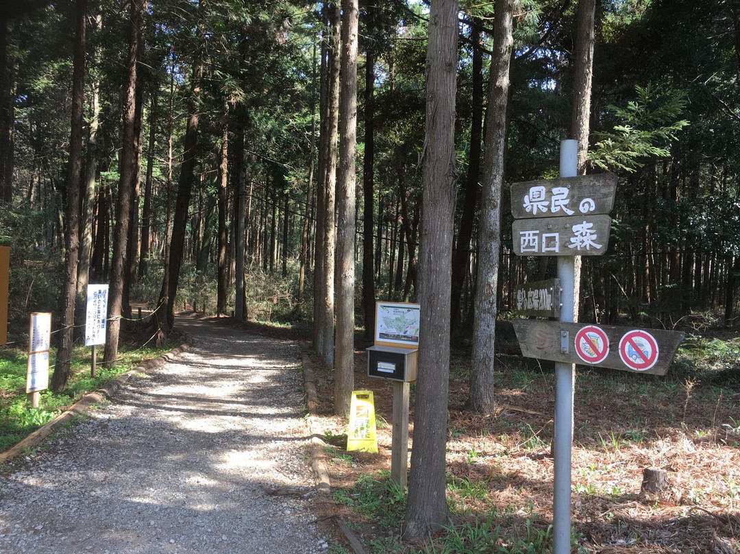 Funabashi Kemmin no Mori-船桥市必去景点