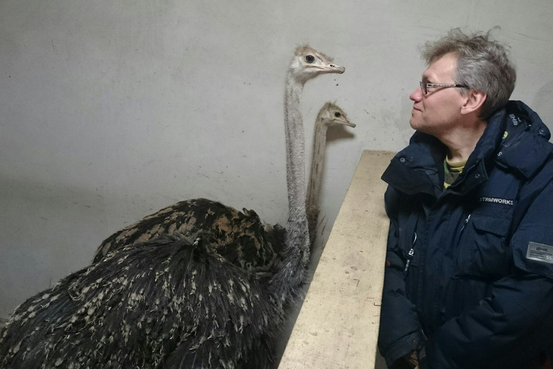 Ostrich Ranch景点图片