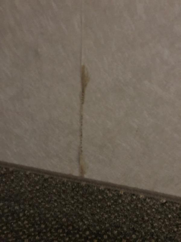 Hilltop Inn & Suites主图