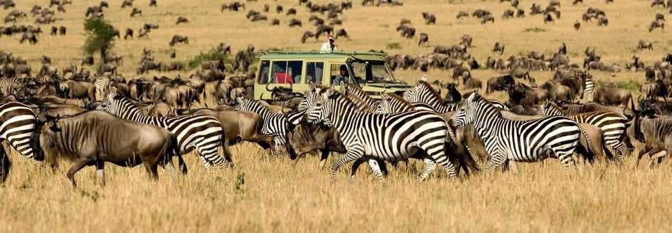 Palmridge Tours and Travels-奇安波必去景点