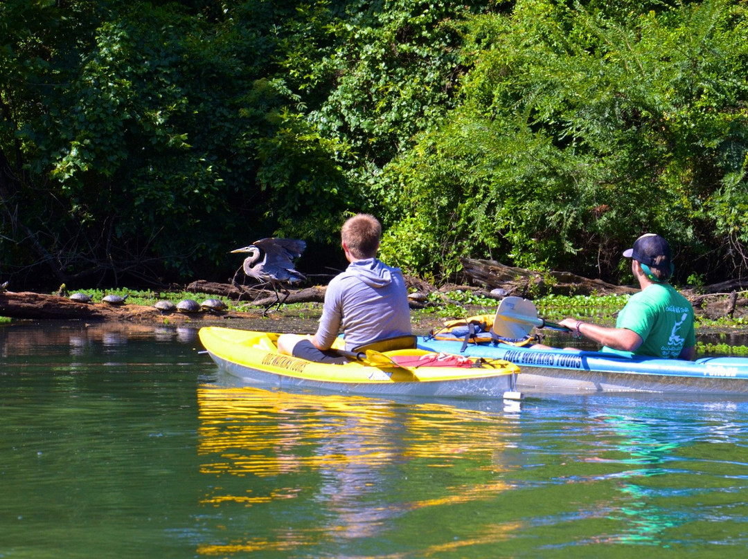 Cole Watkins Tours-Evans必去景点