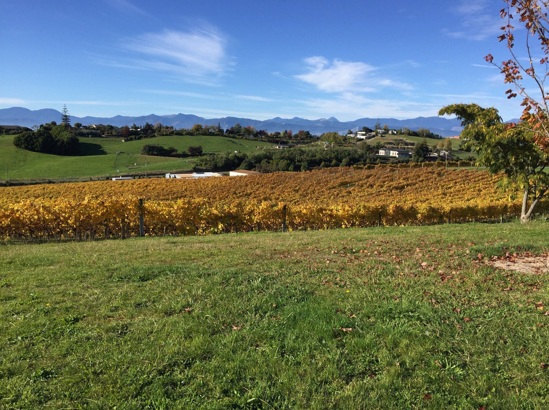 Ruby Bay Vineyard Lodge & Cottage