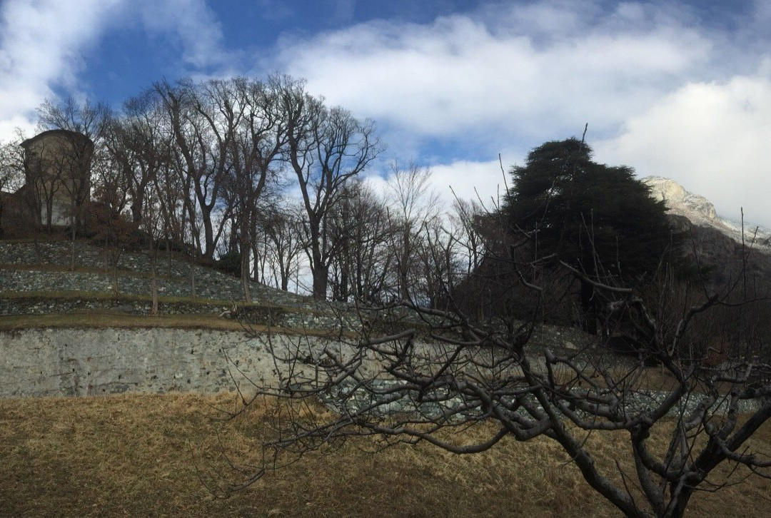Parc du Chateau de Passerin d'Entreves-Chatillon必去景点