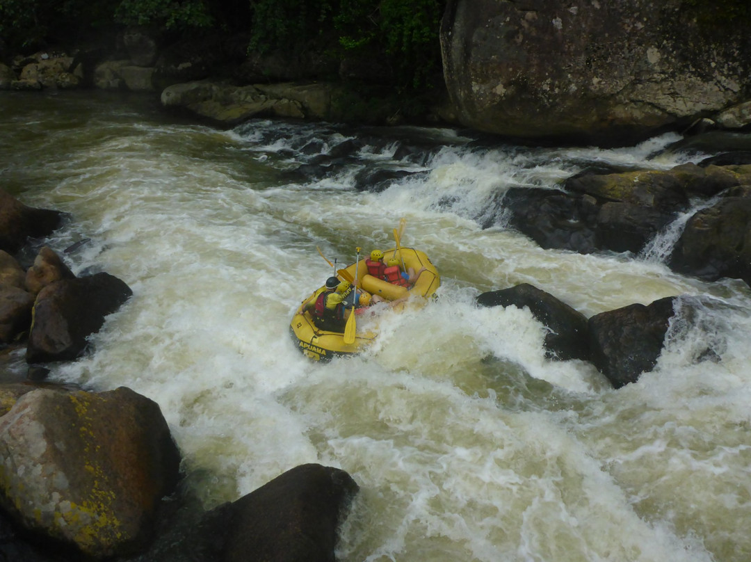 Tartarugas-Santo Amaro da Imperatriz必去景点