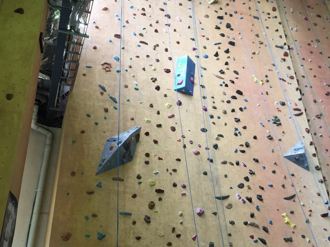 Sydney Indoor Climbing Gym景点图片