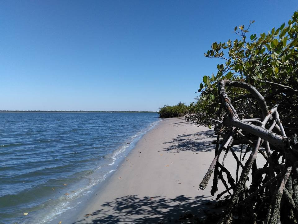 Iles du Saloum Decouverte景点图片