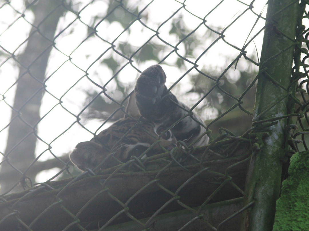La Marina Wildlife Rescue Center景点图片