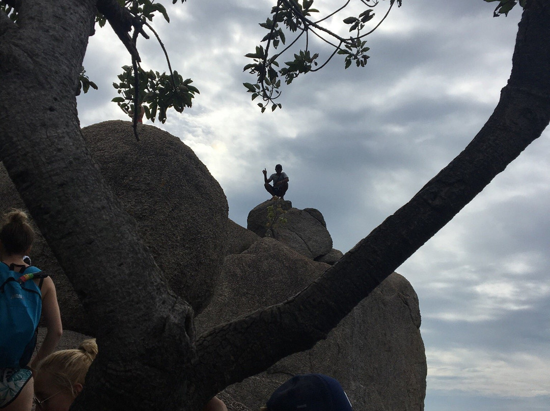 Easy Divers - Koh Nang Yuan-南园岛必去景点