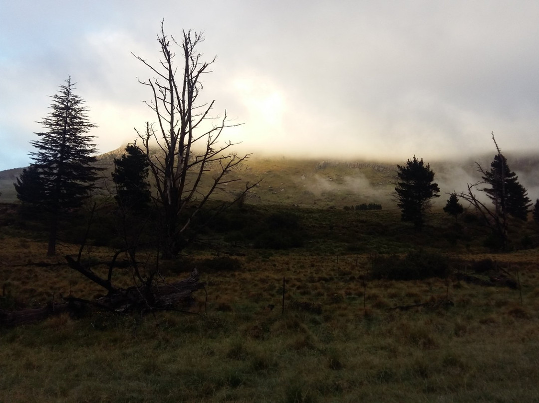 Hogsback Visitors' Information Centre-Hogsback必去景点
