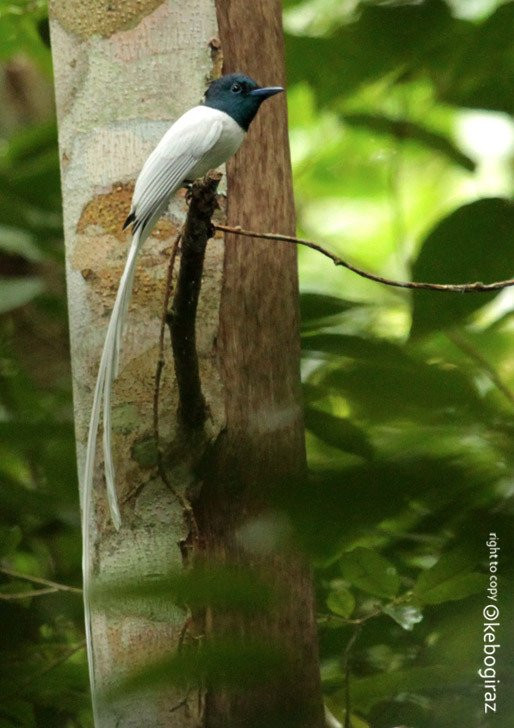 Manupeu Tanah Daru National Parks景点图片