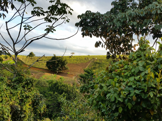 Elotur-累西腓必去景点