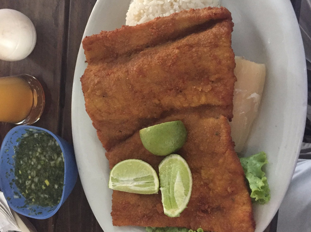 Piqueteadero y Restaurante La Playita S.A.S