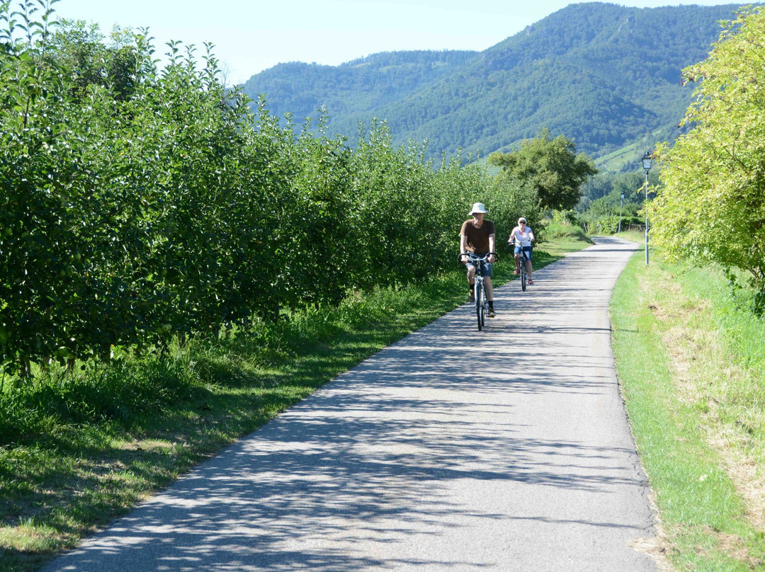Fähre Dürnstein-都恩石必去景点