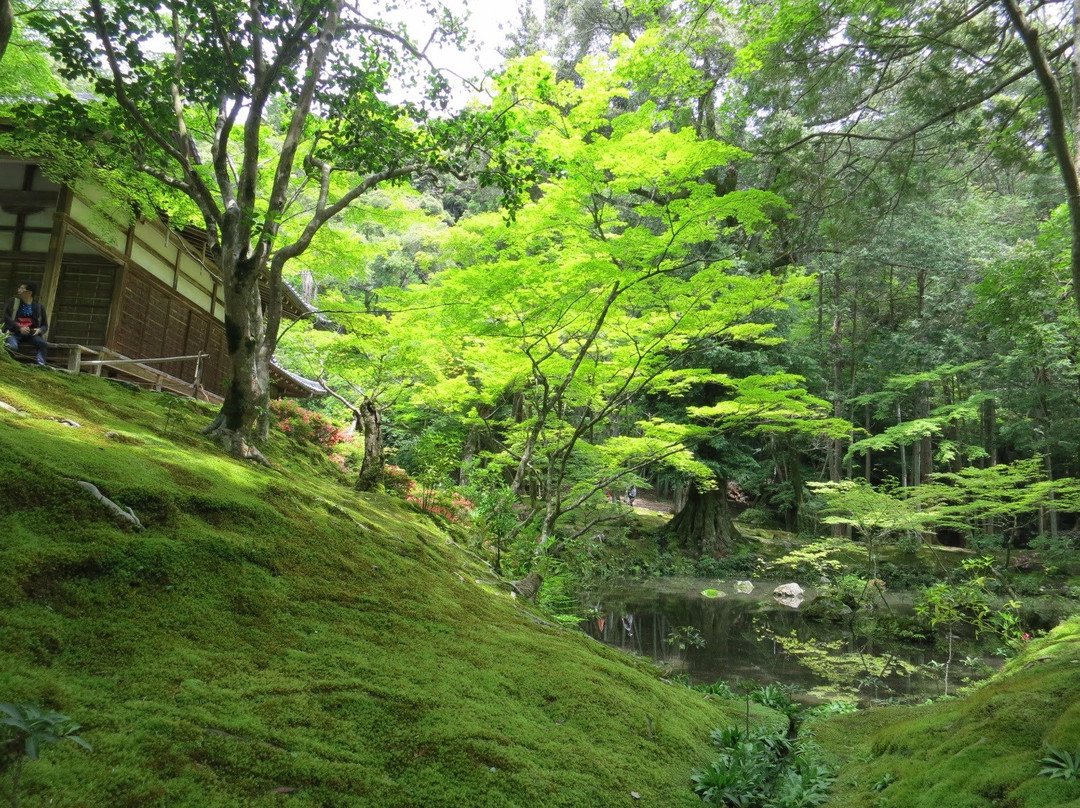 Saihoji Temple-京都市必去景点