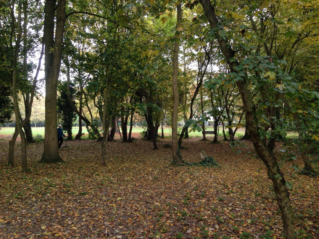 Cherry Hinton Hall Park景点图片