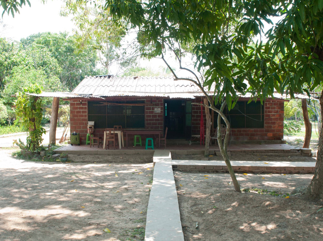 Bolivian Parrots Conservation-Trinidad必去景点