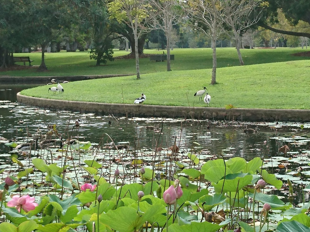 Botanic Gardens-汤斯维尔必去景点