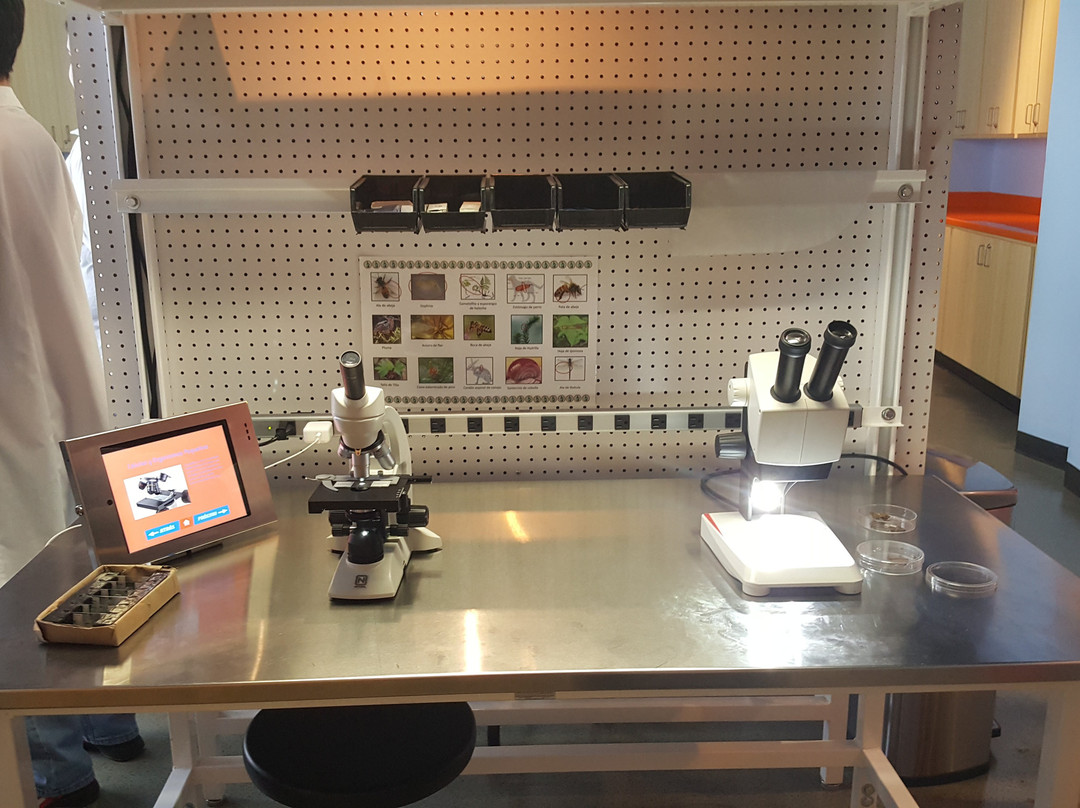 C3tec-Caguas必去景点