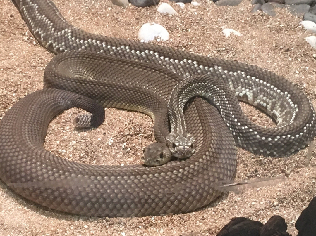 CEVAP unesp-Botucatu必去景点