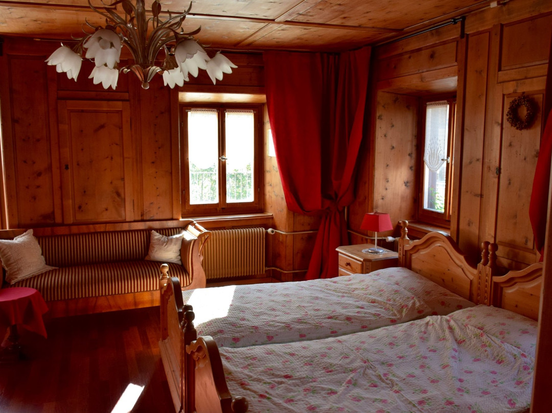 Hotel Piz Vizan主图