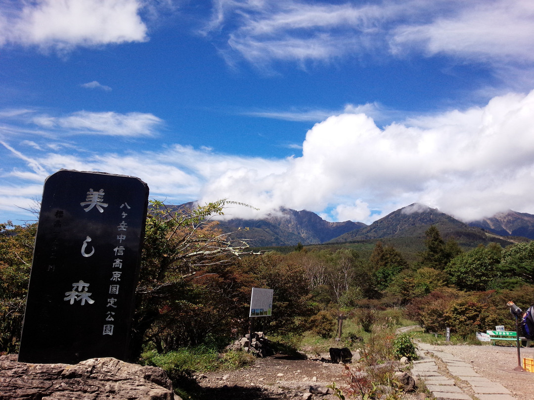 Forest Utsukushinomori景点图片