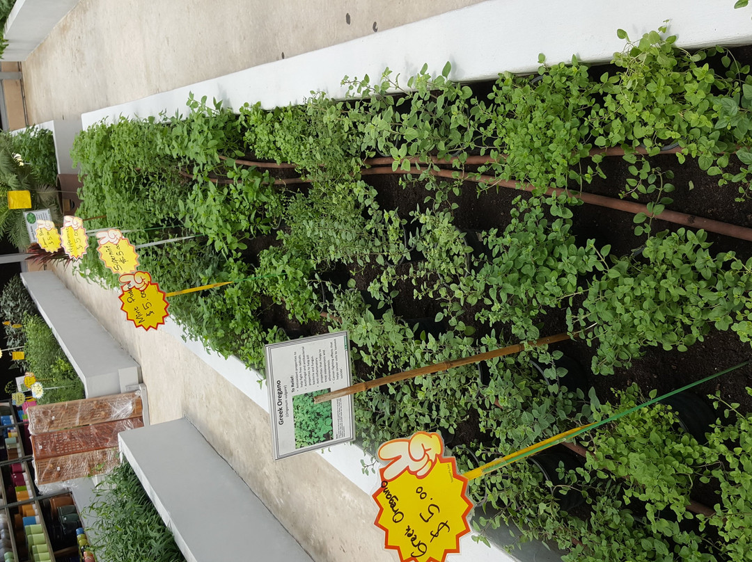 Agro Technology Park-斯里巴加湾必去景点