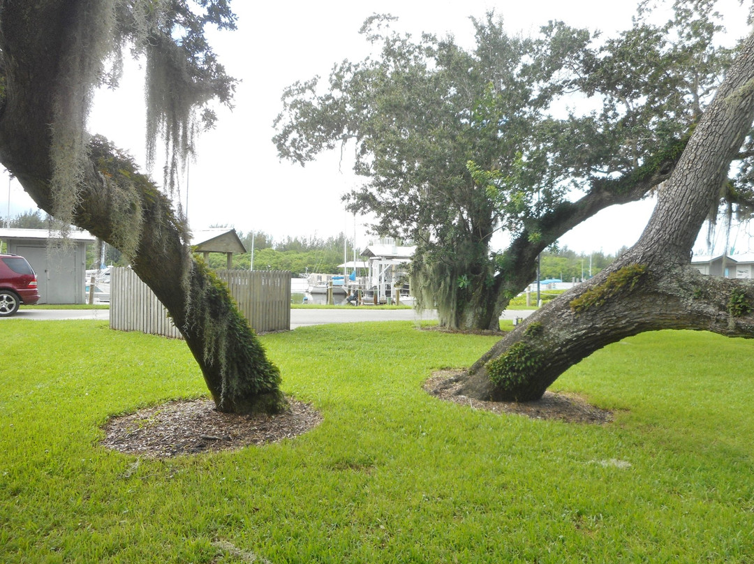 Vero Beach City Marina景点图片