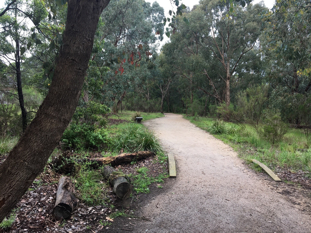 Wurundjeri Walk景点图片