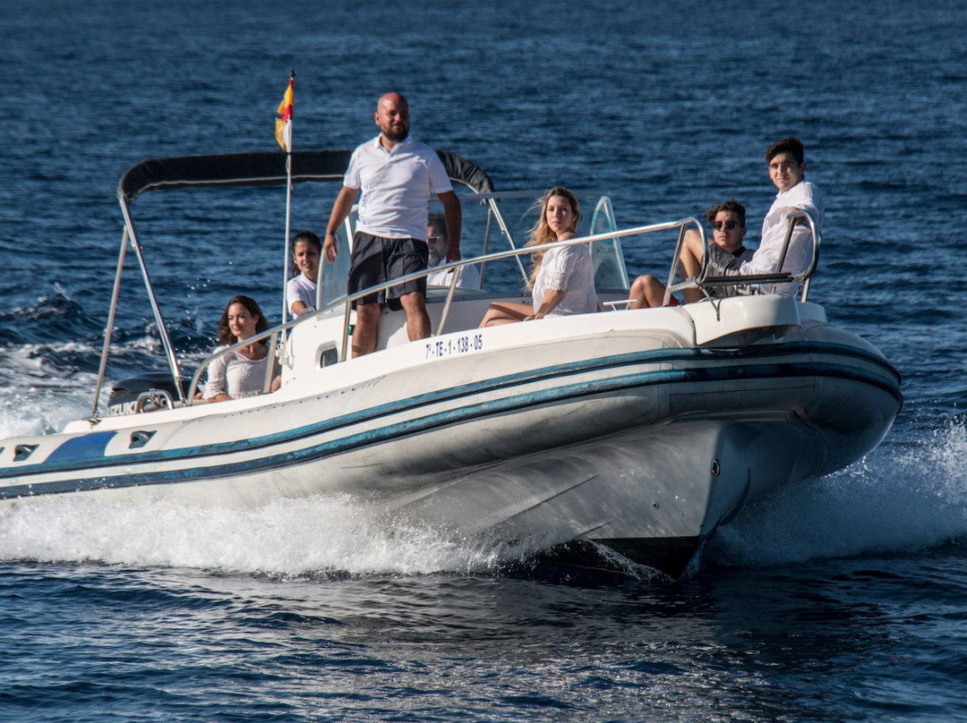 Atlantic Eco Experience | Whale Watching Tenerife-奥德杰海岸必去景点