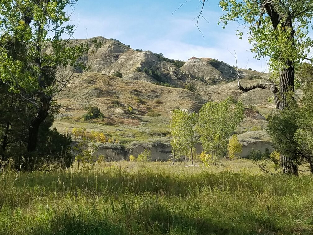 Cottonwood Campground