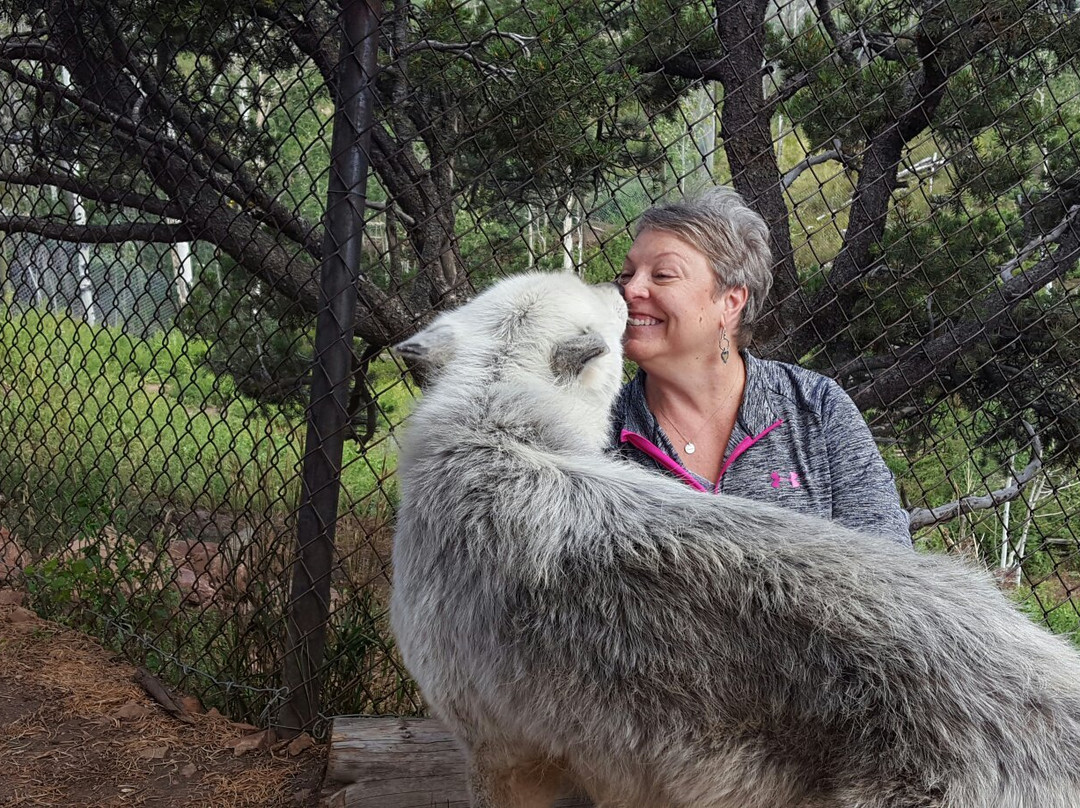 Mission: Wolf-Gardner必去景点